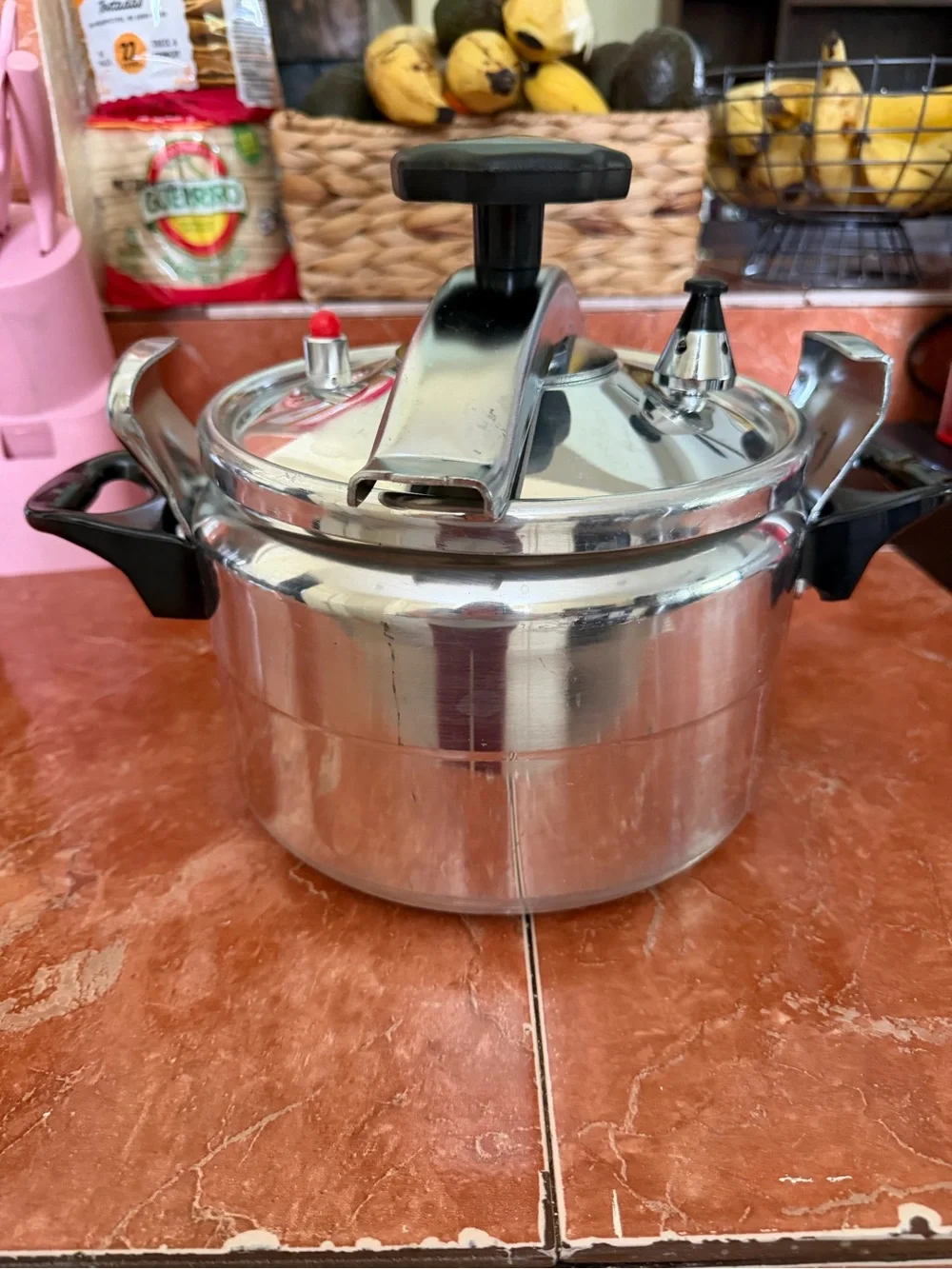 Stainless Steel Pressure Cooker with Black Handles - Silver